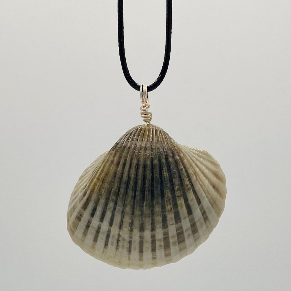 Shell Pendant on 24" Black Cord Necklace; B24-17